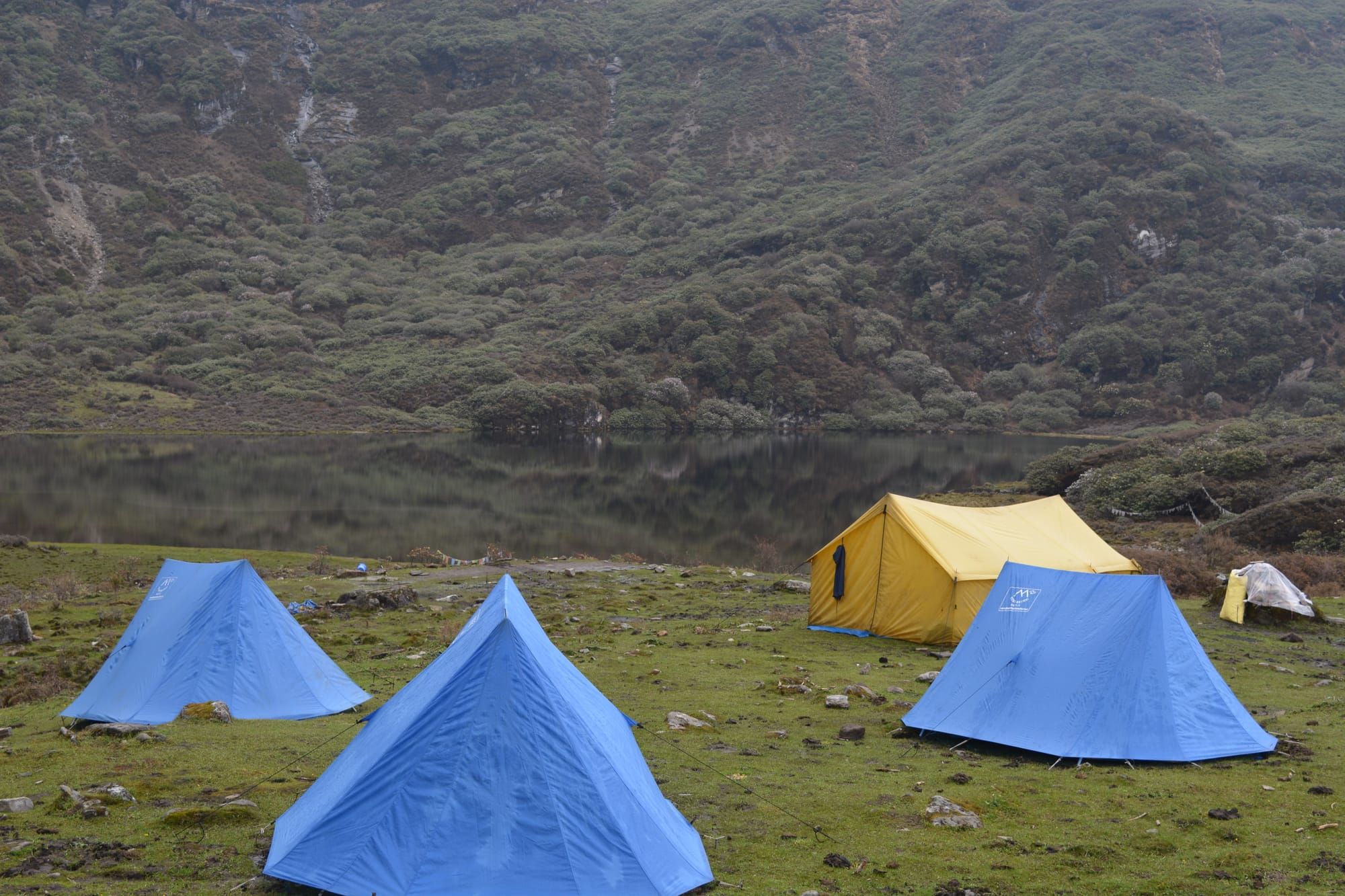 Campside