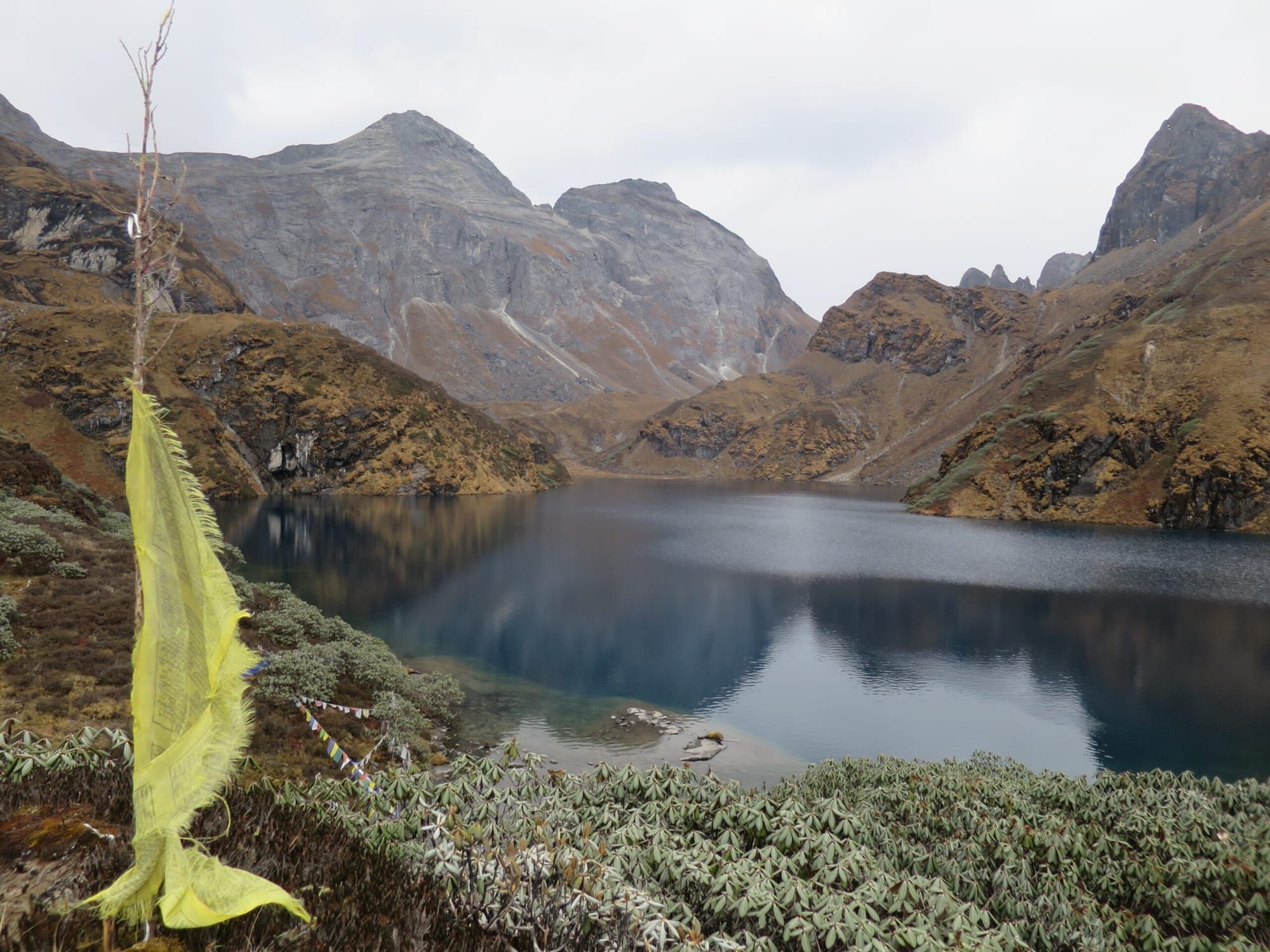 Trekking in the Himalayas: The Druk Path Trek