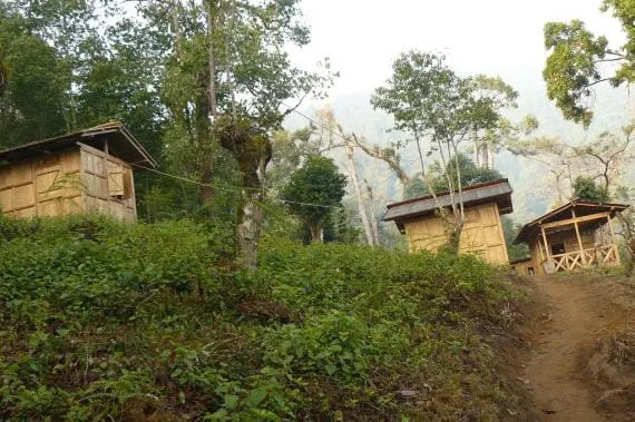 Gomphu eco-camp 2
