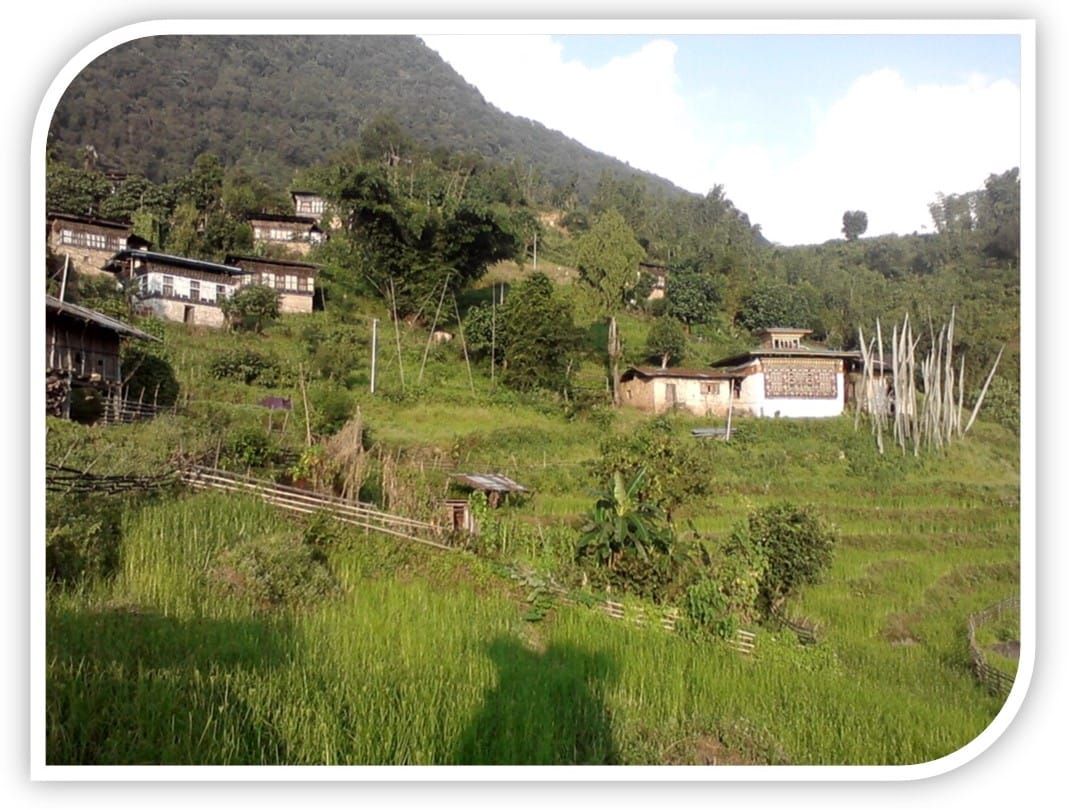 Naru – an ancient bon festival