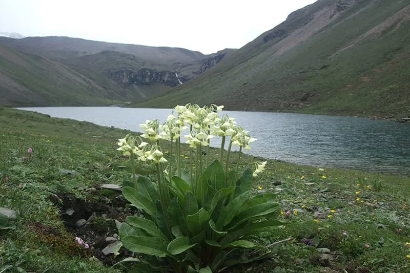 Lake-Tshophu