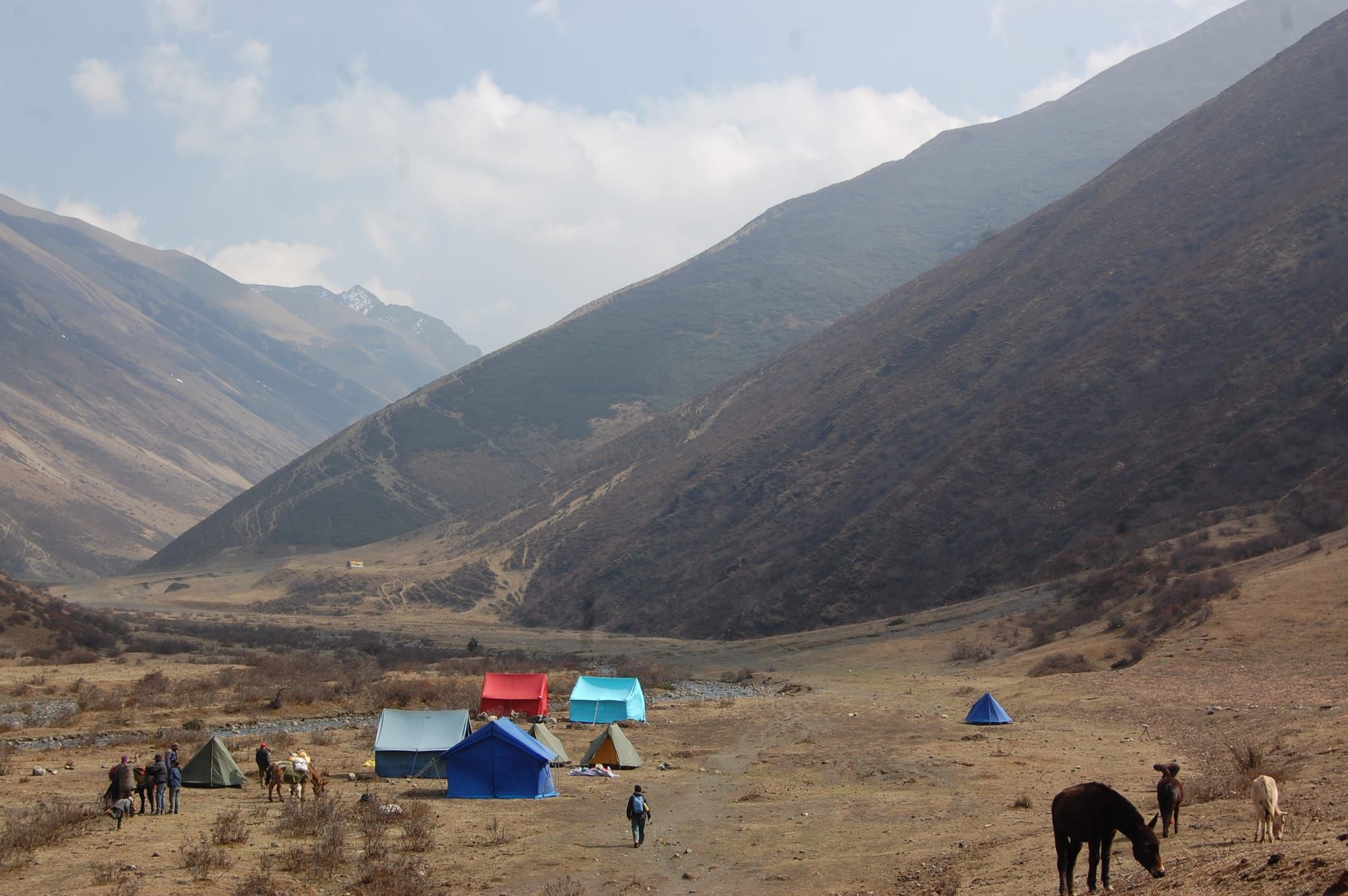 Lingzhi camp side Jomolhari camp side
