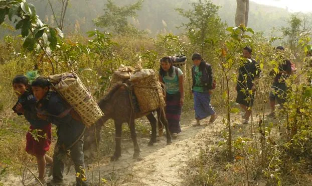 Locals transporting oranges