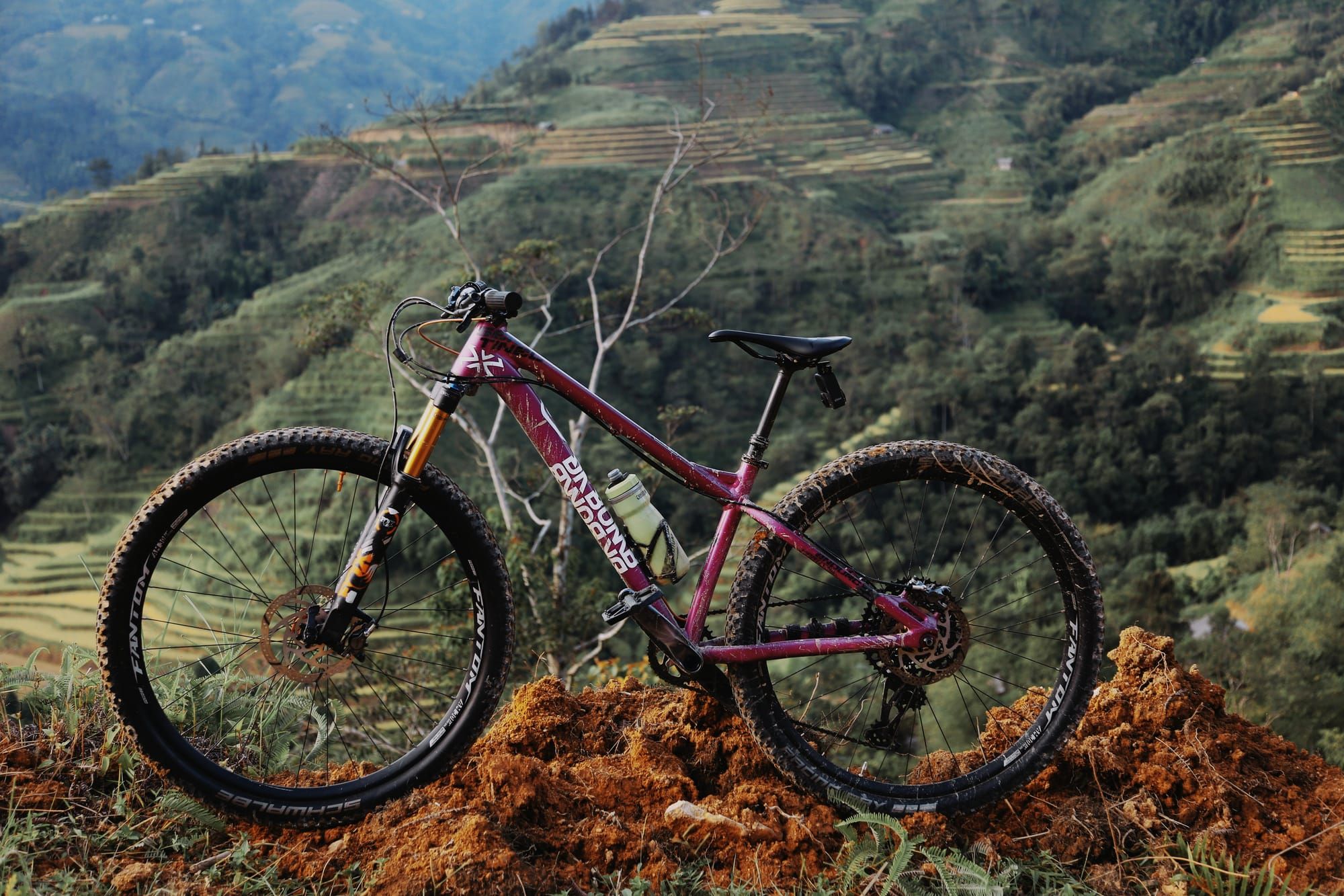 Mountain Bike