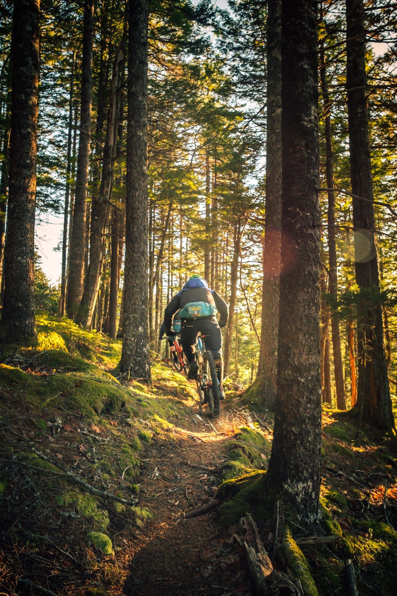 Mountain Bike in the wilderness
