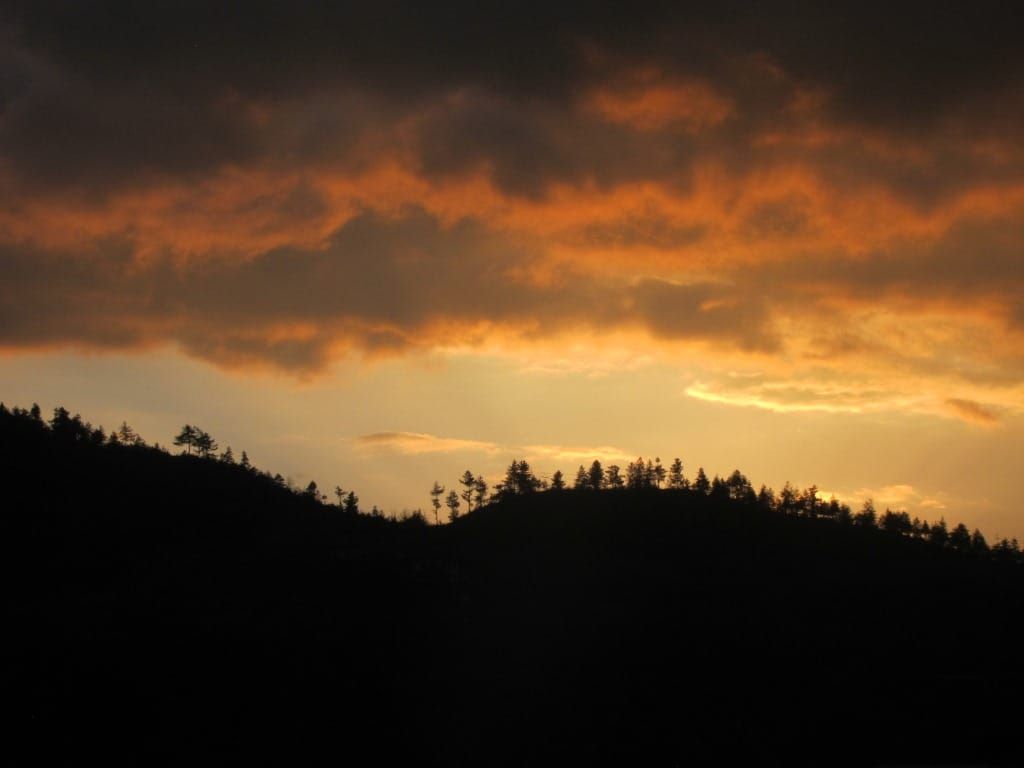 When Darkness Settles, Night-hunting Begins.
