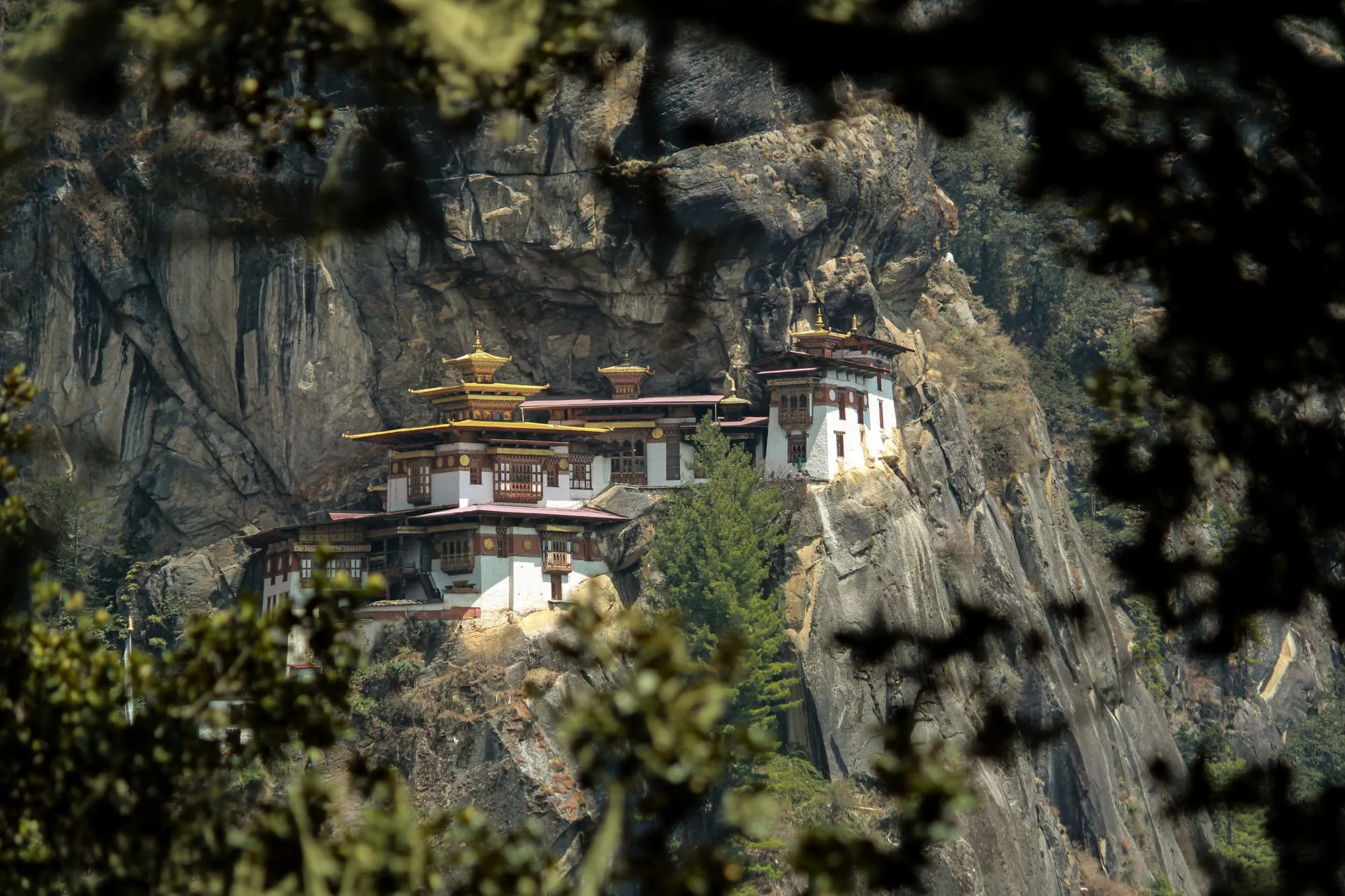 Paro-taktsang