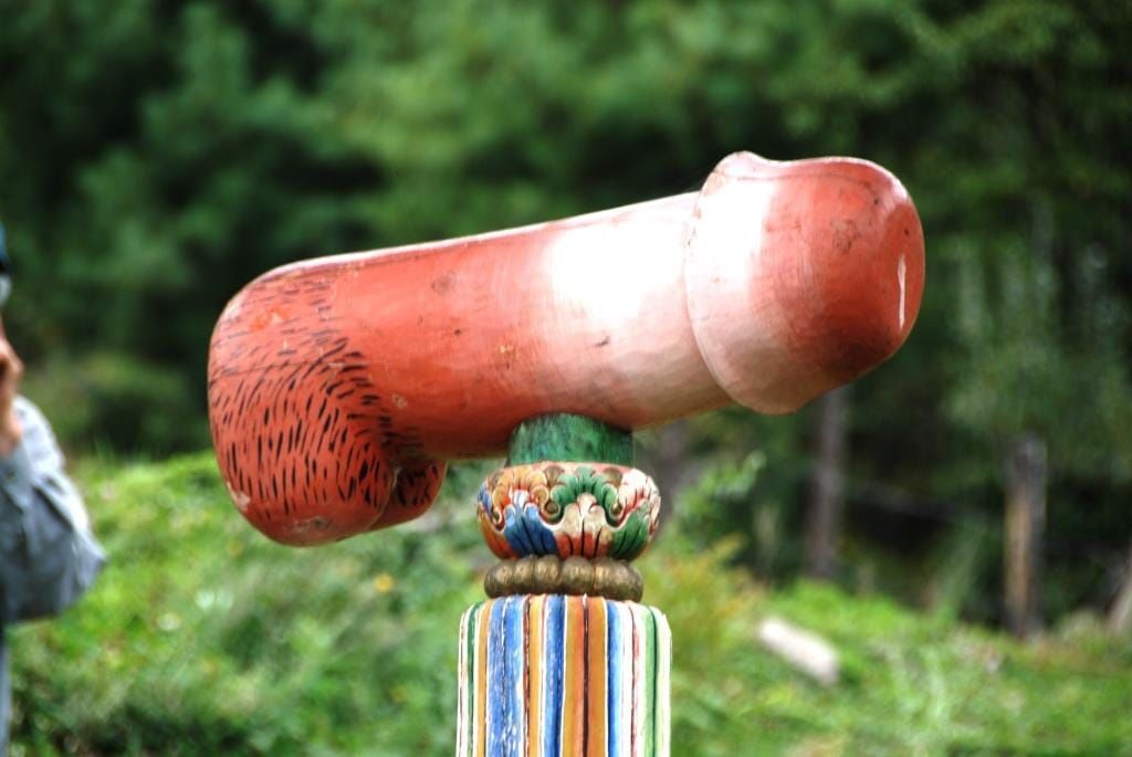 Don’t be Callous towards the Phallus!
