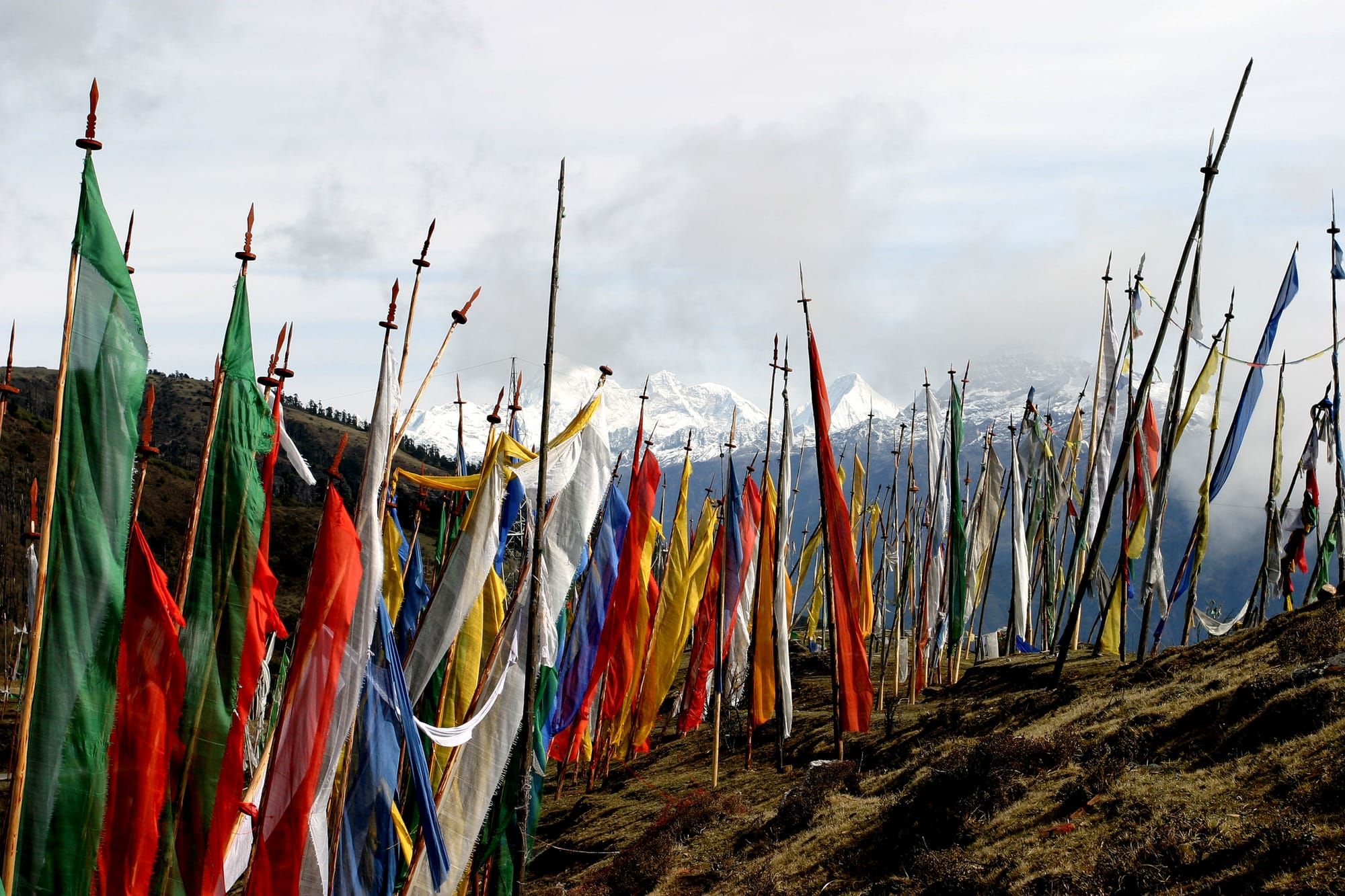 Prayer Flags at Chelela pass