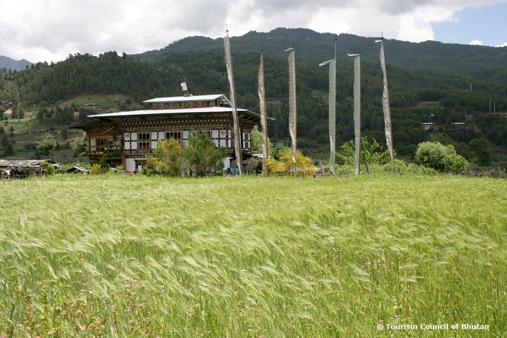 Bhutanese Farmhouse