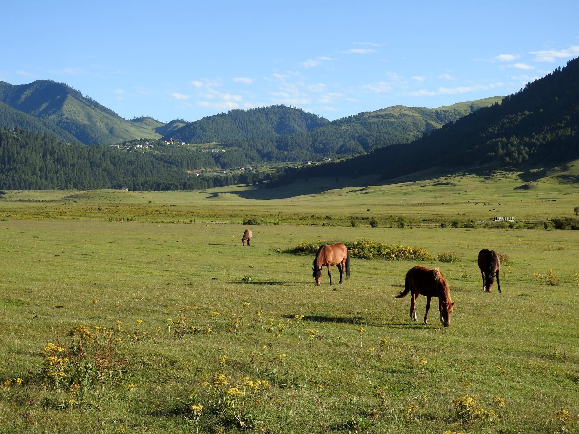 Gangtey-Phobji Nature Trail