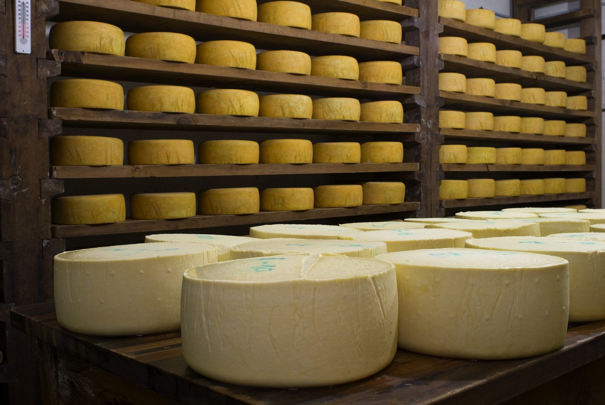 Bumthang Swiss Cheese Factory