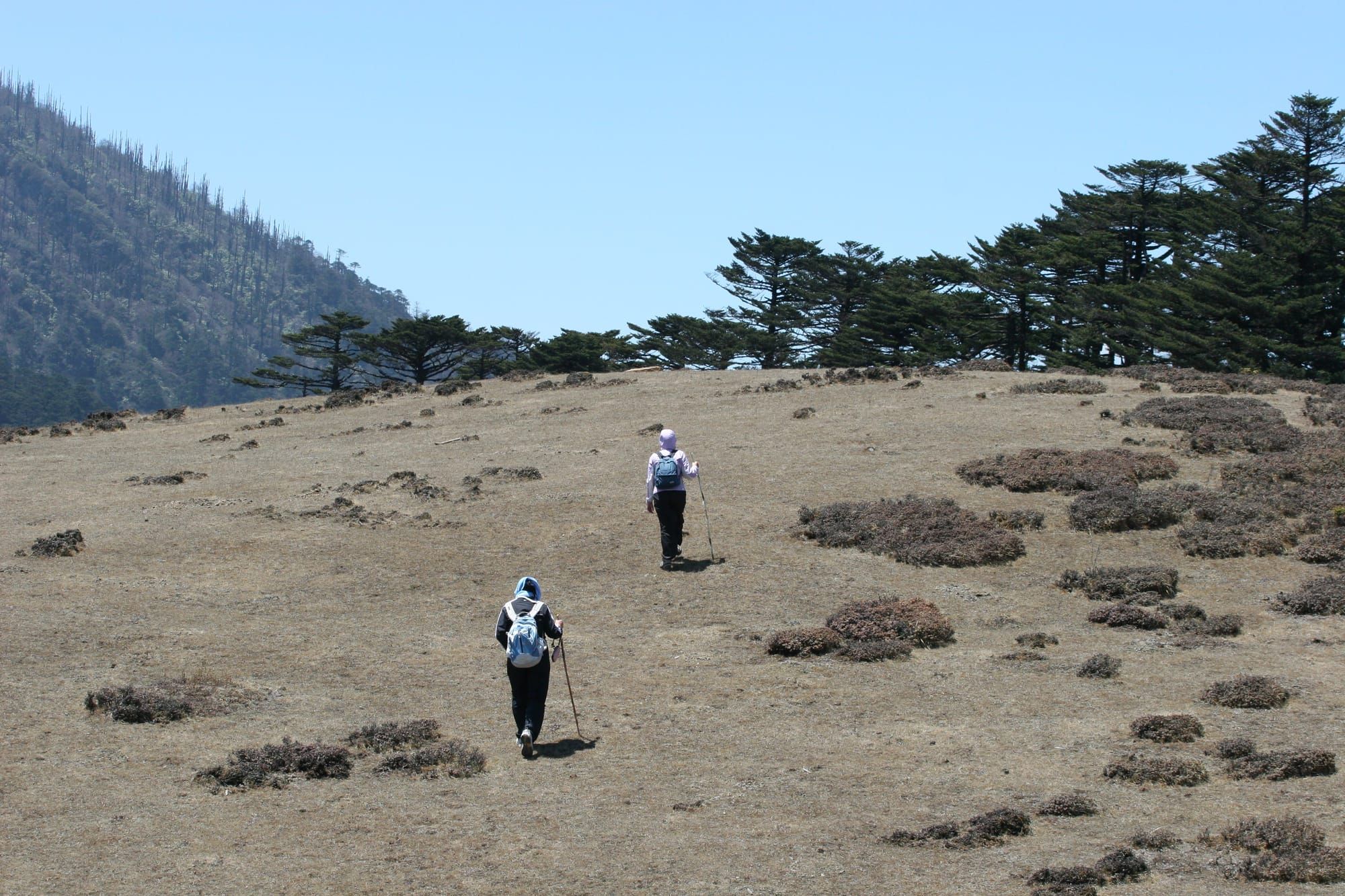 Treks on dangling trek