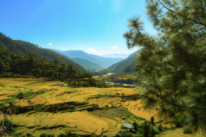 Valley in Bhutan