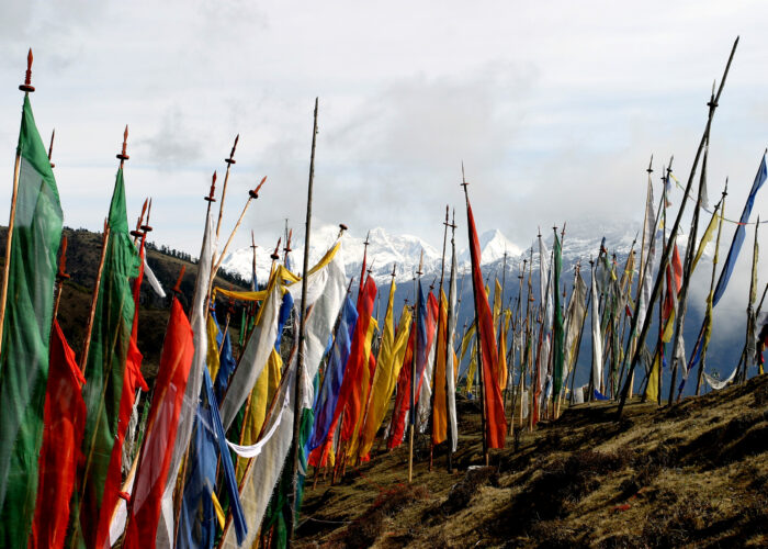 Prayer Flags at Chelela pass