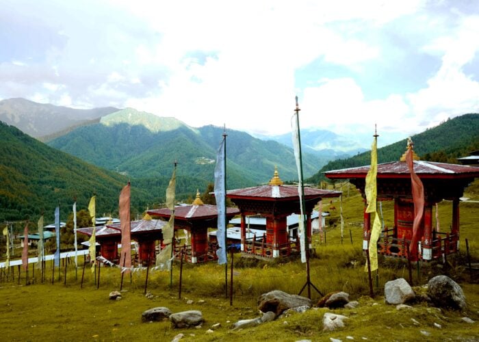 Prayer flags and greenery.