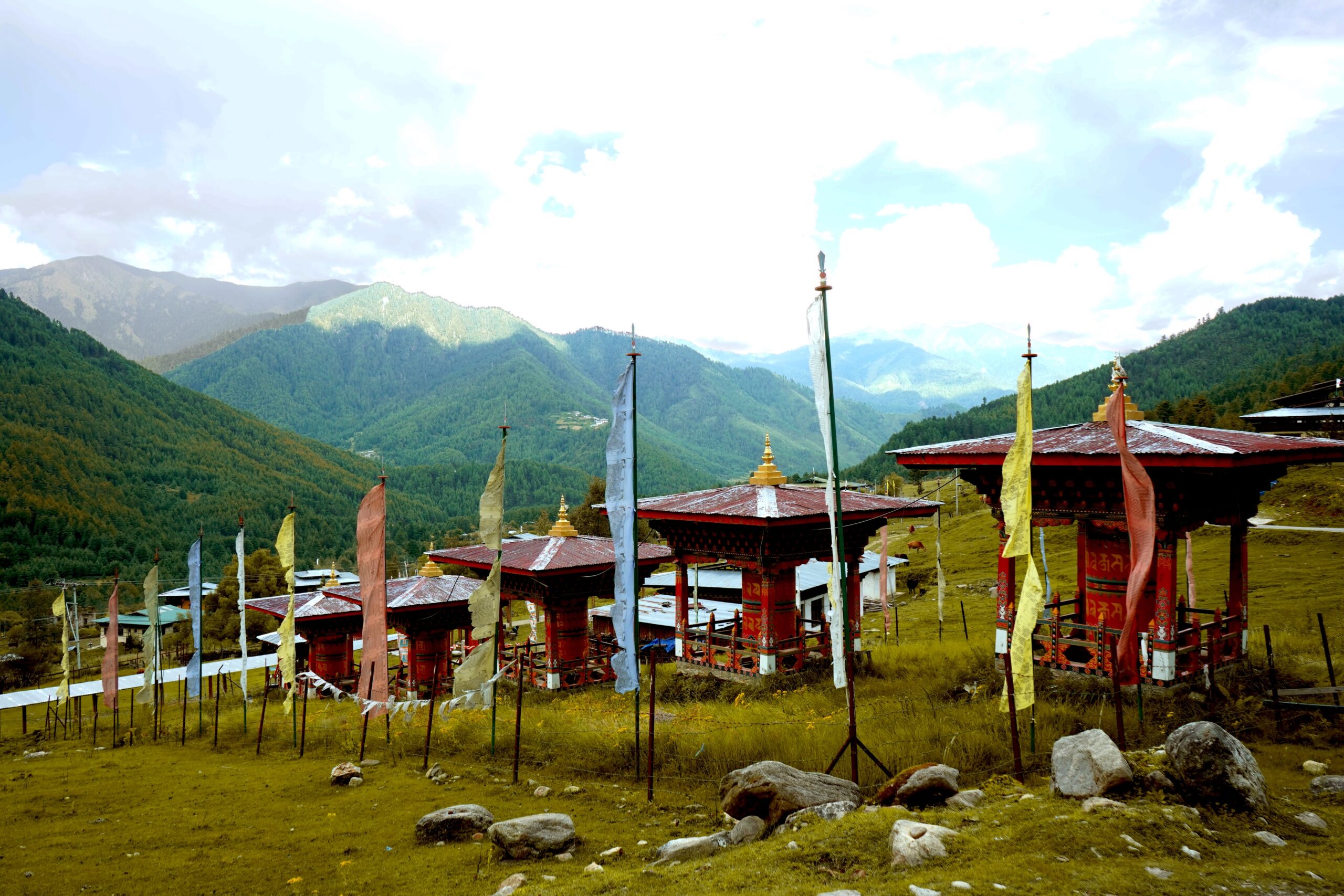 Prayer flags and greenery.