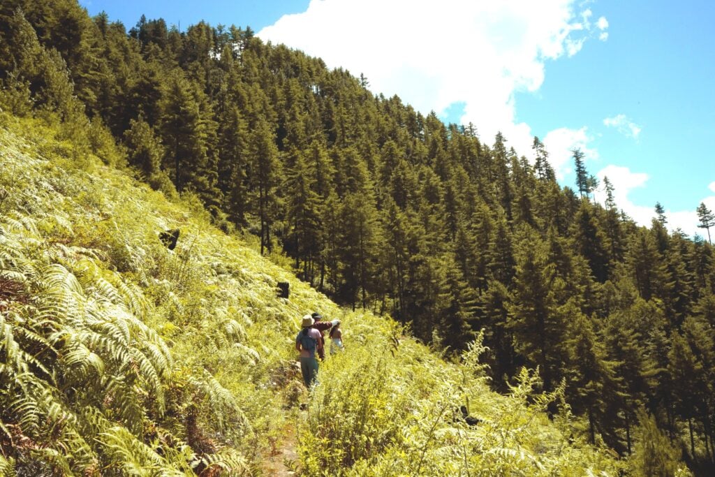 The image shows people on the hike and greenery. 